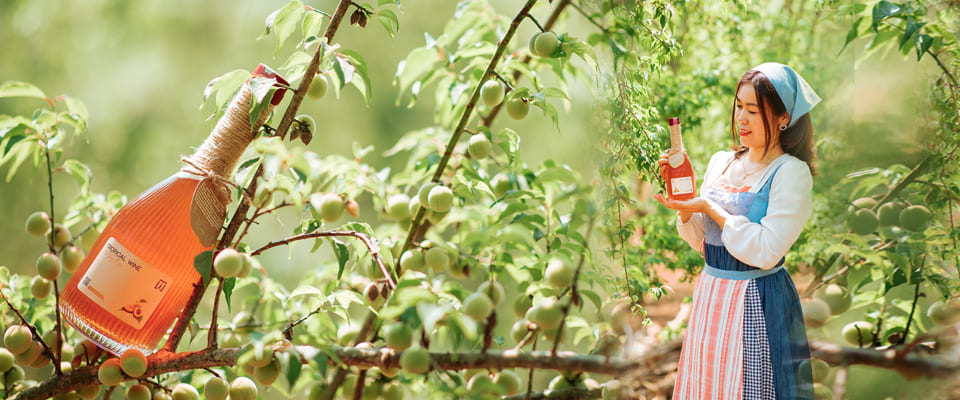 Quảng cáo trang chủ 2